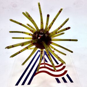 Fuzzy Ball 2.5"